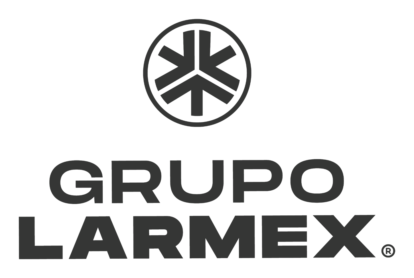 Grupo Larmex